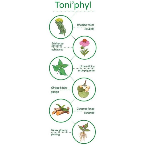 VETOPHYLUM TONI'PHYL 30 Gélules Chat, Chien - Vitalité, Tonus