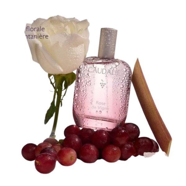 CAUDALIE - EAU FRAICHE - ROSE DES VIGNES - 50 ML