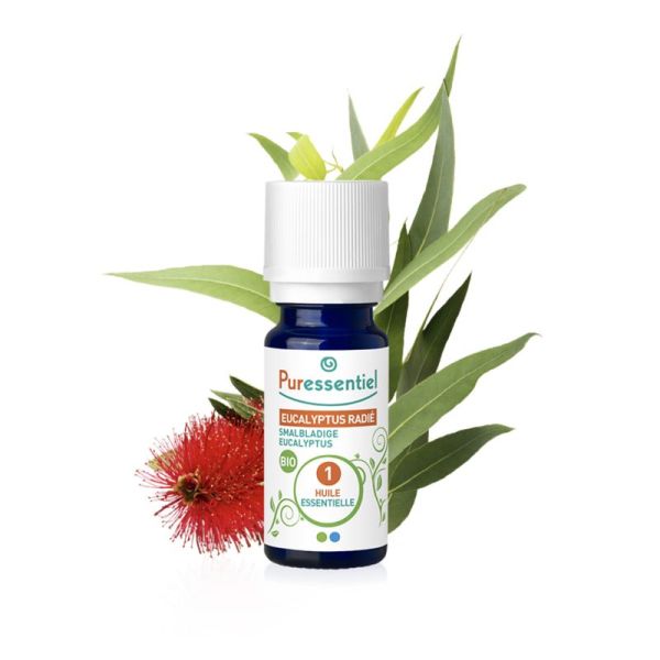 PURESSENTIEL BIO Eucalyptus radié 10ml - Huile Essentielle Eucalyptus radiata