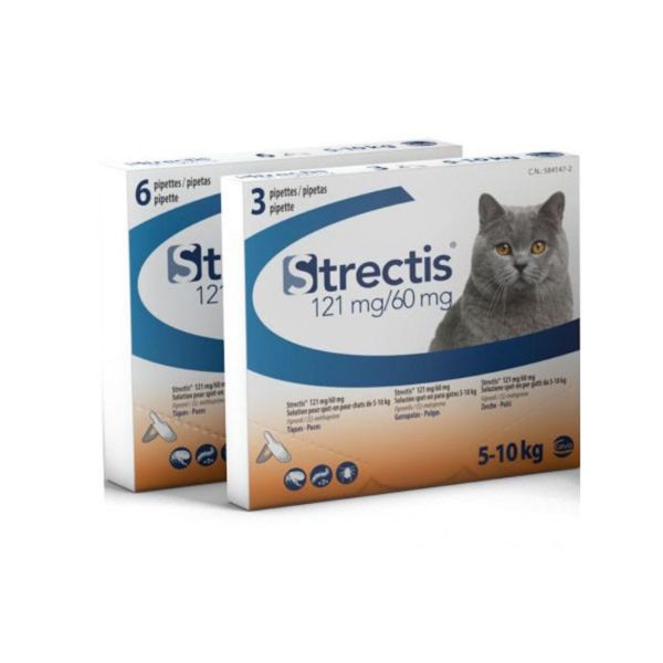 STRECTIS 121mg/60mg Chat de 5 à 10kg - Pipettes Spot-On Antiparasitaire Externe