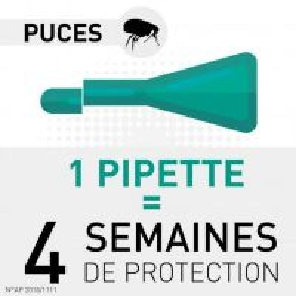 FRONTLINE SPOT ON Chat 4 Pipettes de 0.5ml - Anti Parasitaires (Puces, Tiques, Poux)