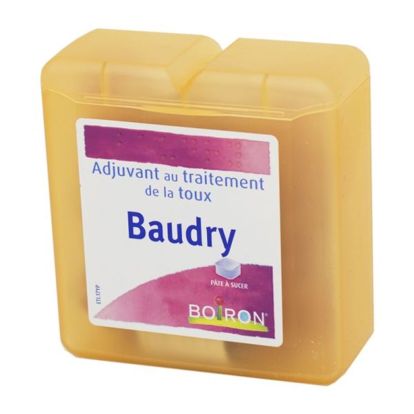 BOIRON Pâtes Baudry 70g - Adjuvant au Traitement de la Toux
