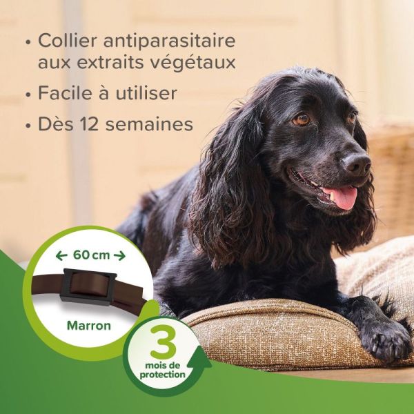 VETOPURE 1 Collier Répulsif Antiparasitaire Chien 60cm - Contre Puces, Tiques et Moustiques