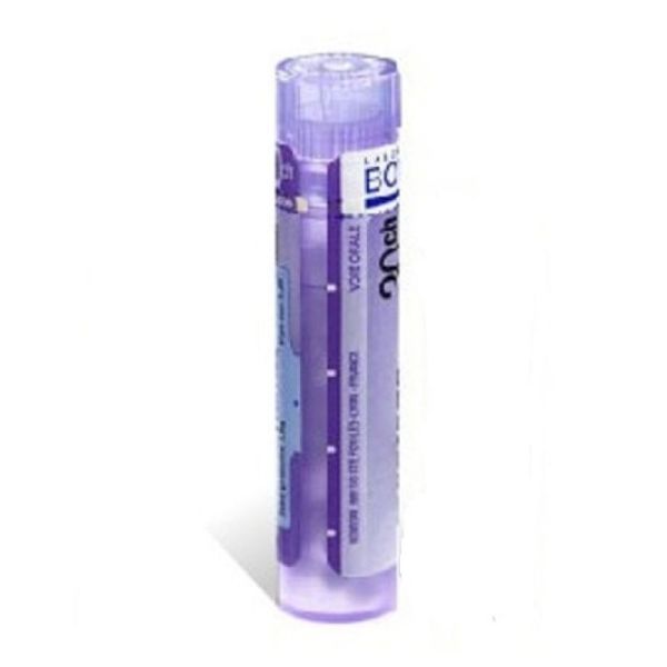 Allium cepa tube-granules 4CH à 30CH - Boiron