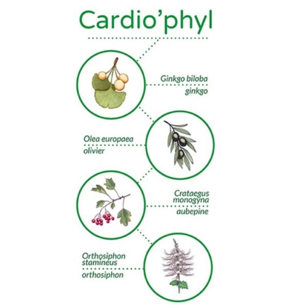 VETOPHYLUM CARDIO'PHYL 30 Gélules Chat, Chien - Circulation